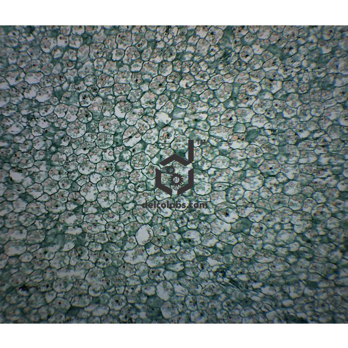 Divyansh_educational