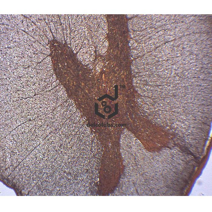 Divyansh_educational