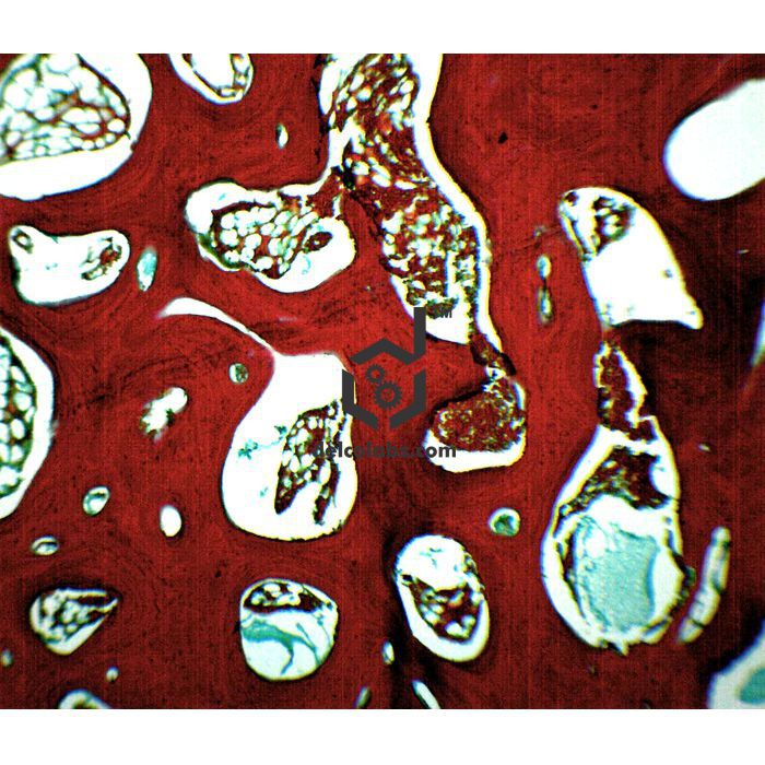 Divyansh_educational