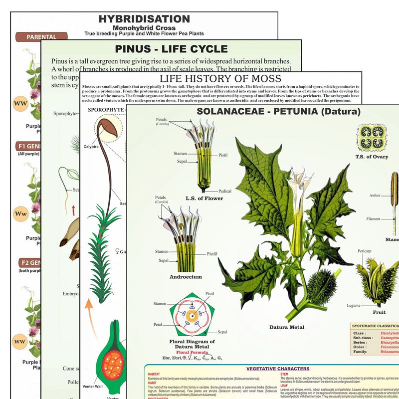 Divyansh_educational