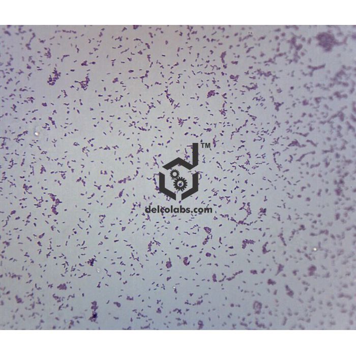 Divyansh_educational