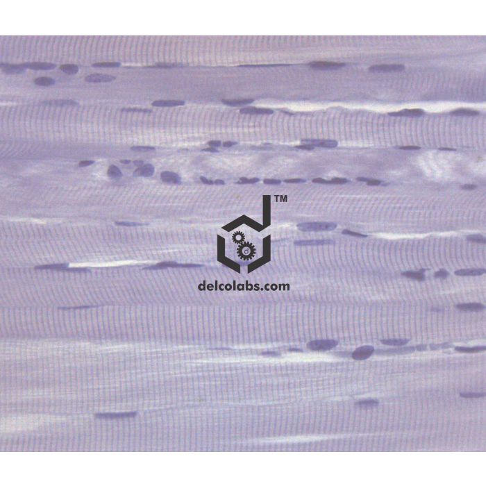 Divyansh_educational