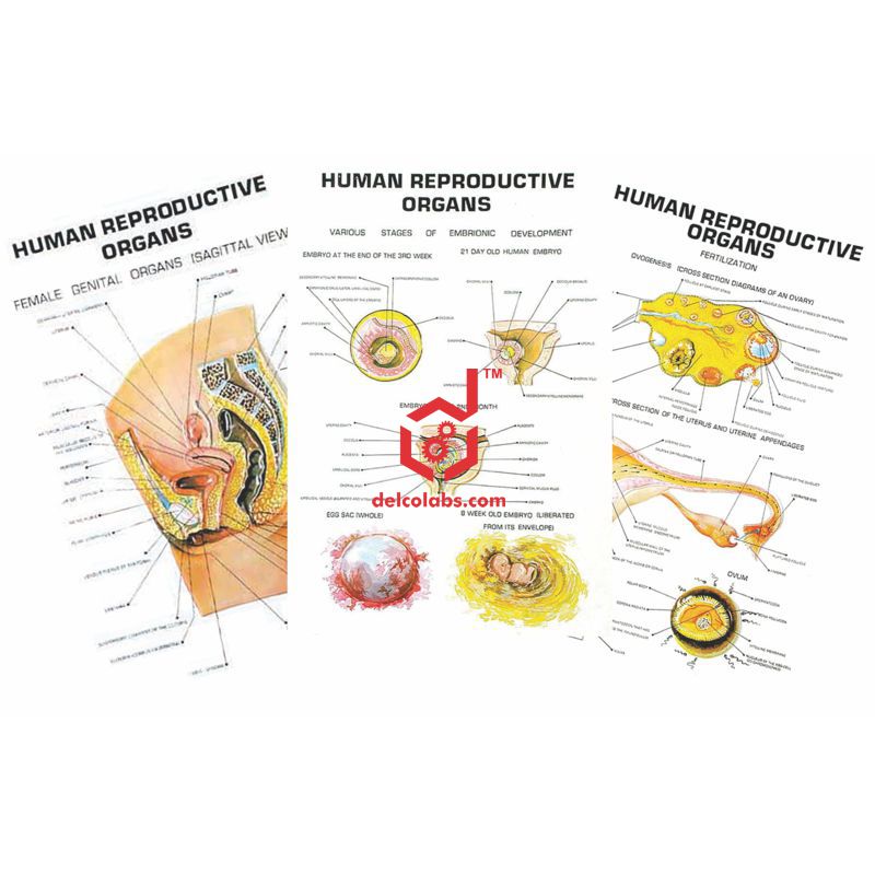 Divyansh_educational