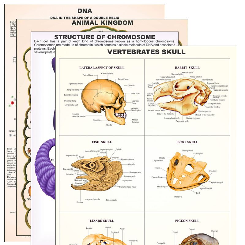 Divyansh_educational