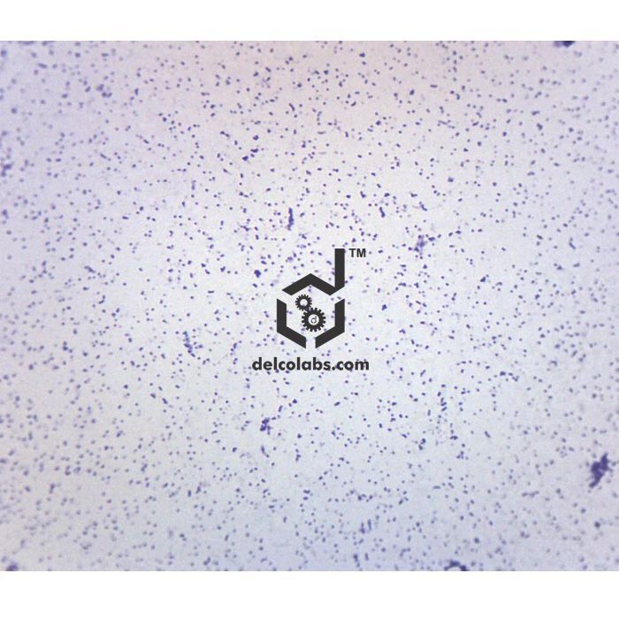 Divyansh_educational