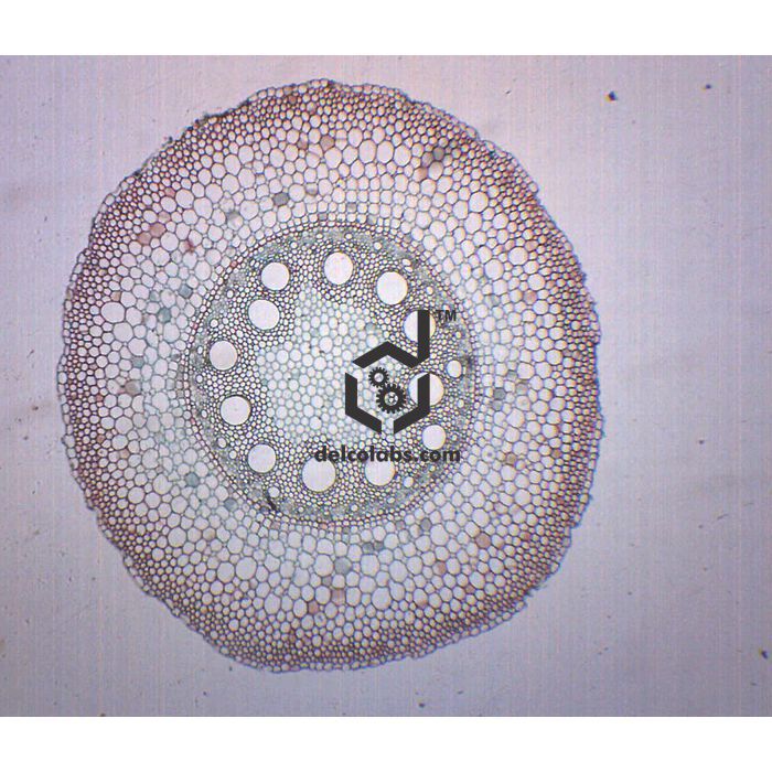 Divyansh_educational