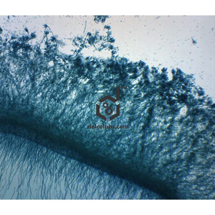 Divyansh_educational