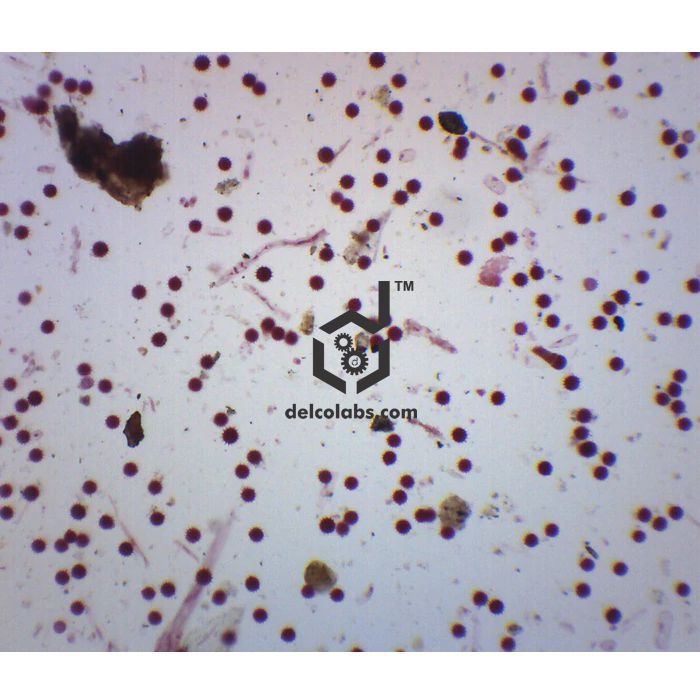 Divyansh_educational