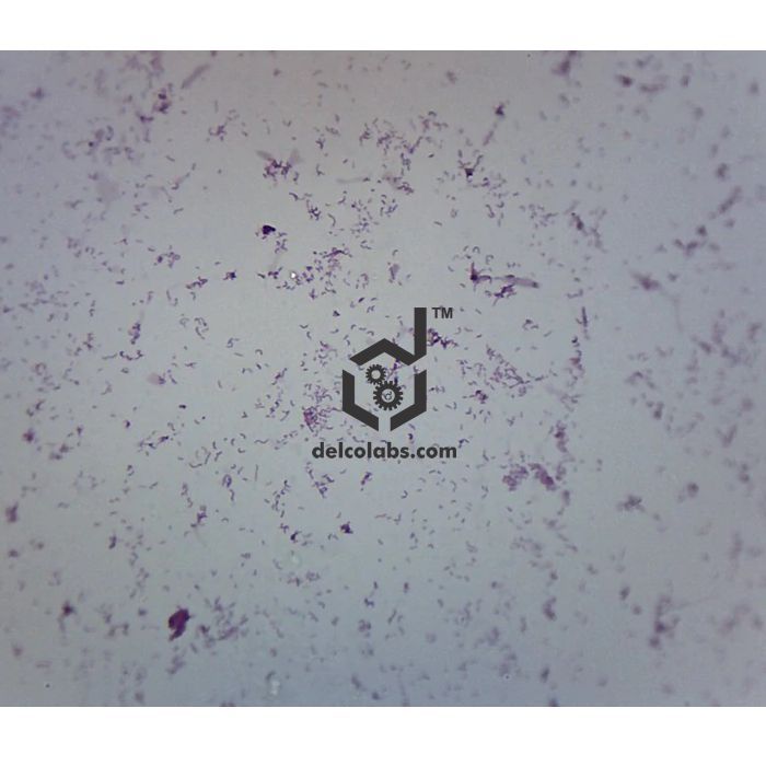 Divyansh_educational