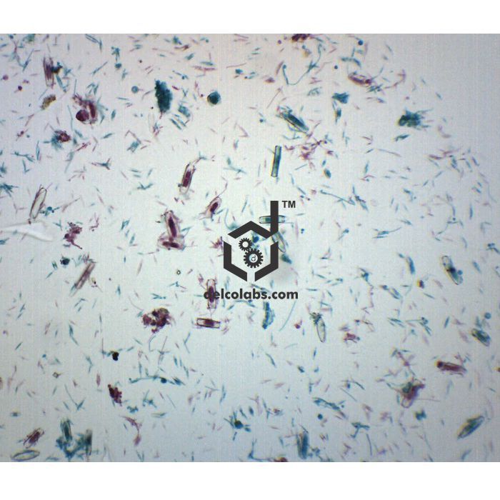 Divyansh_educational