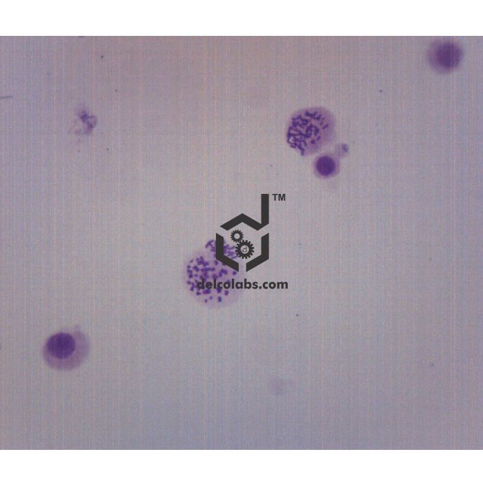 Divyansh_educational