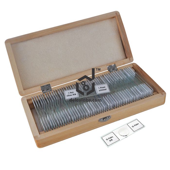 Divyansh_educational