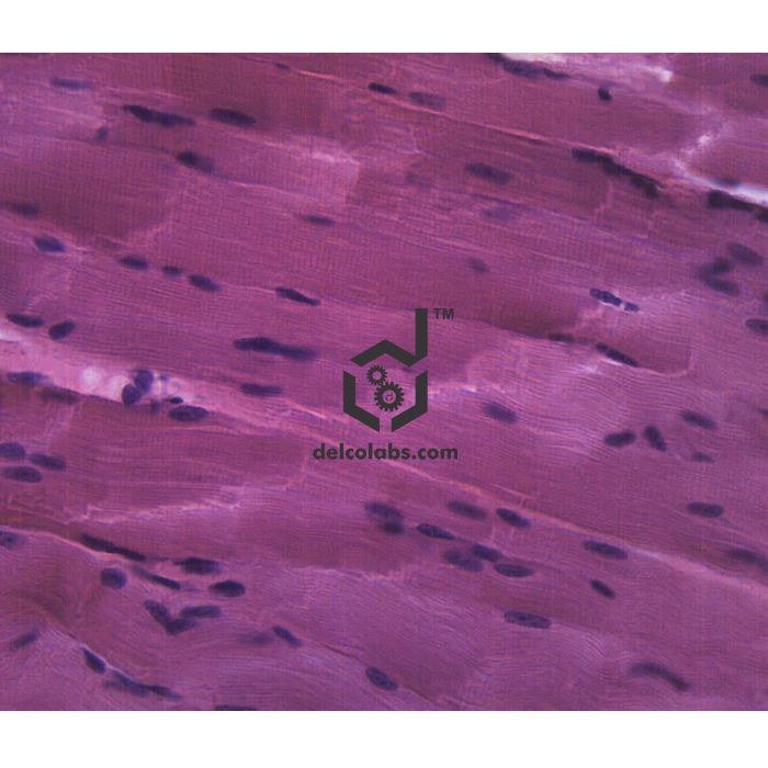 Divyansh_educational