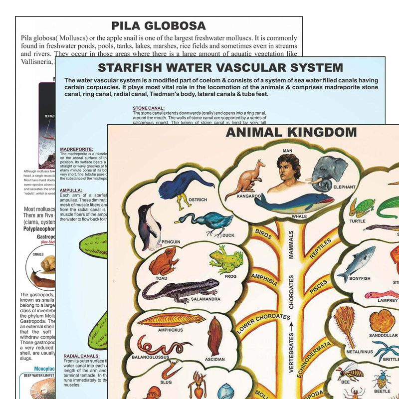 Divyansh_educational