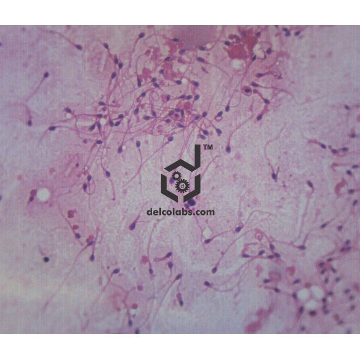 Divyansh_educational