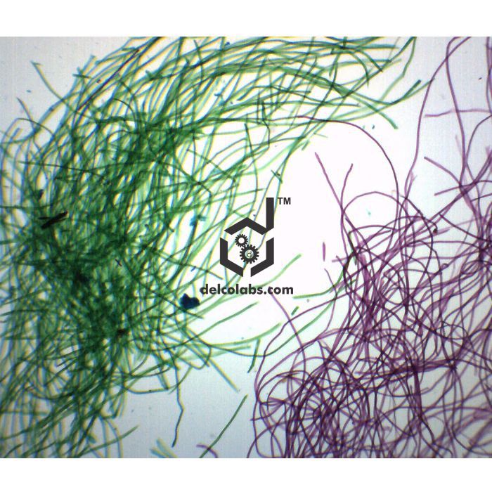 Divyansh_educational