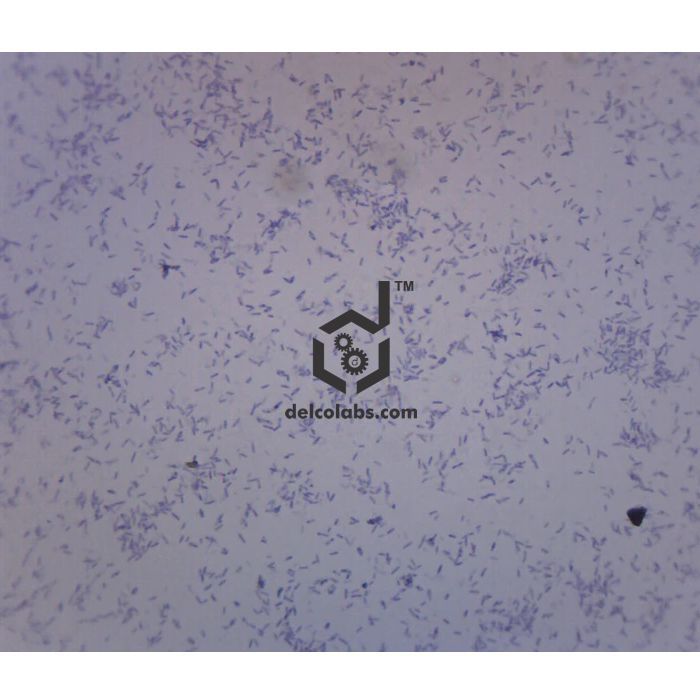 Divyansh_educational