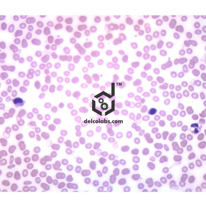 Divyansh_educational