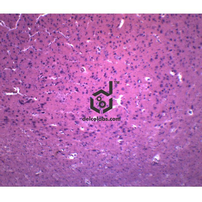 Divyansh_educational