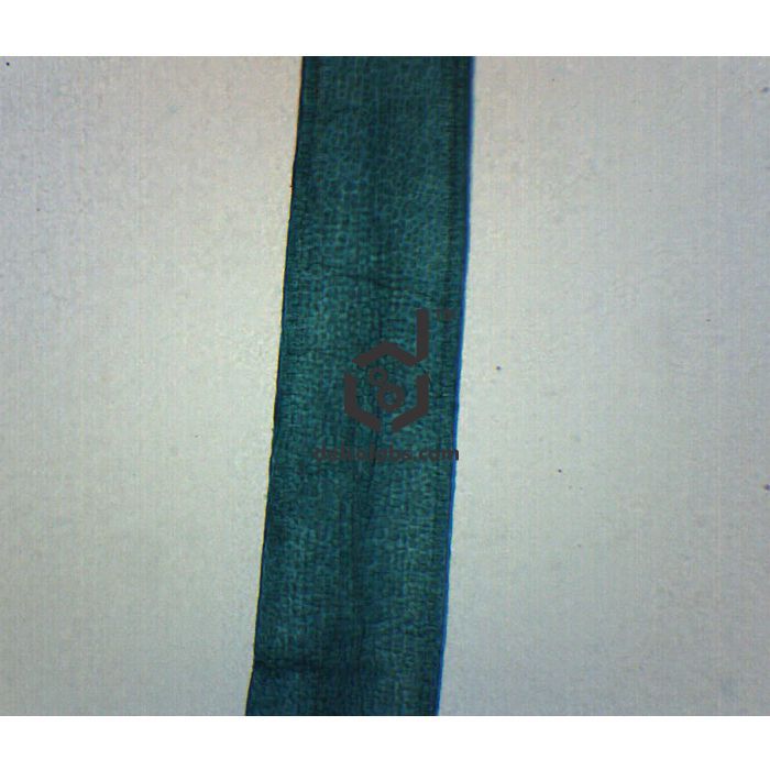 Divyansh_educational