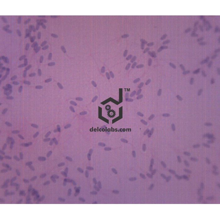 Divyansh_educational