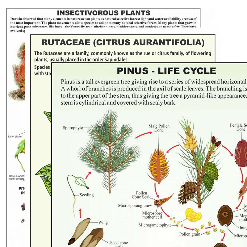 Divyansh_educational