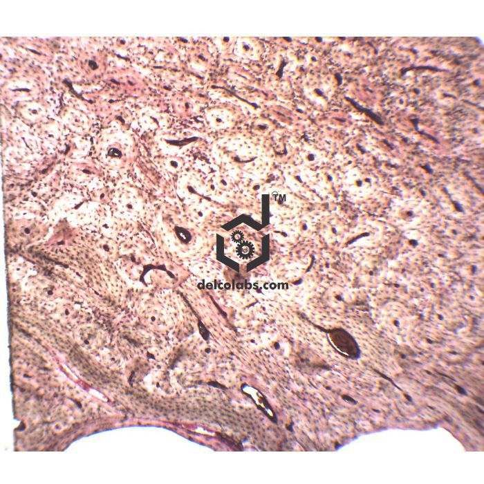 Divyansh_educational