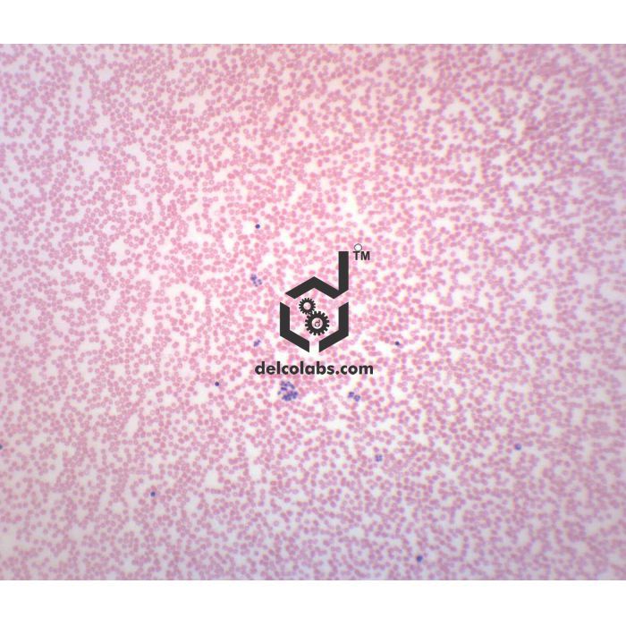 Divyansh_educational