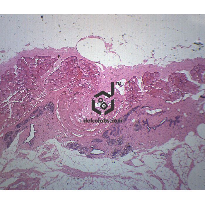 Divyansh_educational