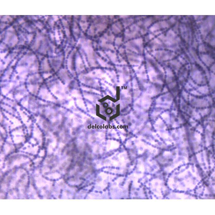 Divyansh_educational