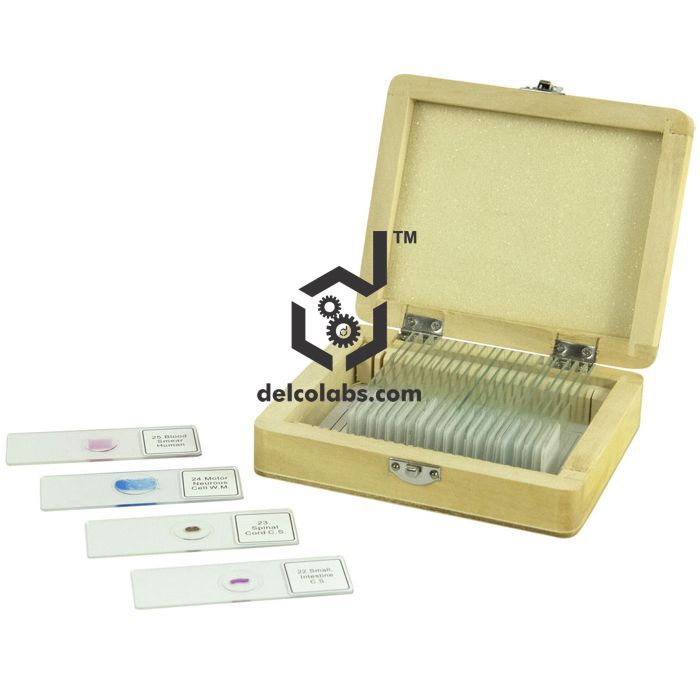 Divyansh_educational