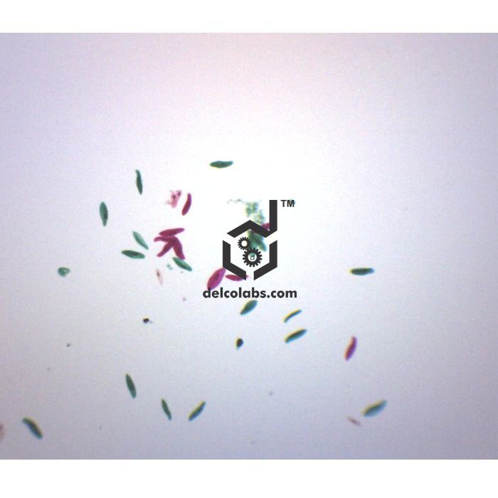 Divyansh_educational