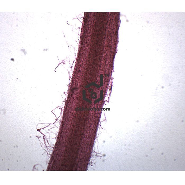 Divyansh_educational