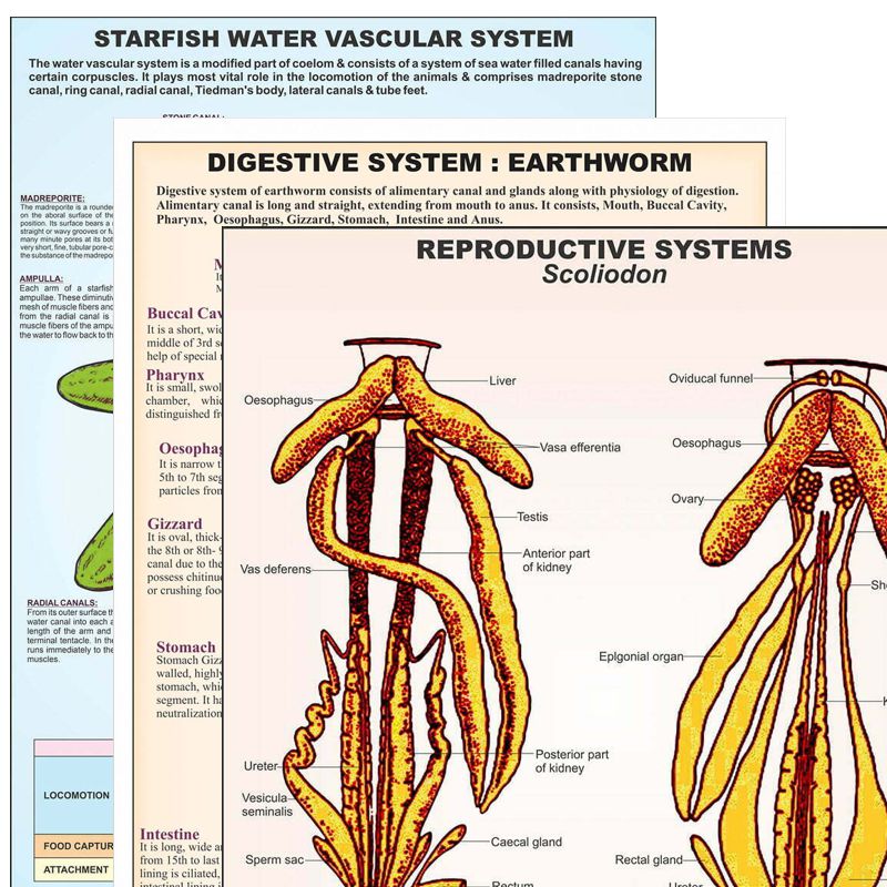 Divyansh_educational