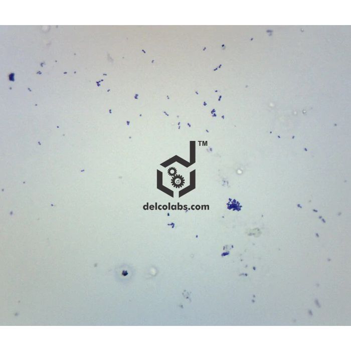 Divyansh_educational