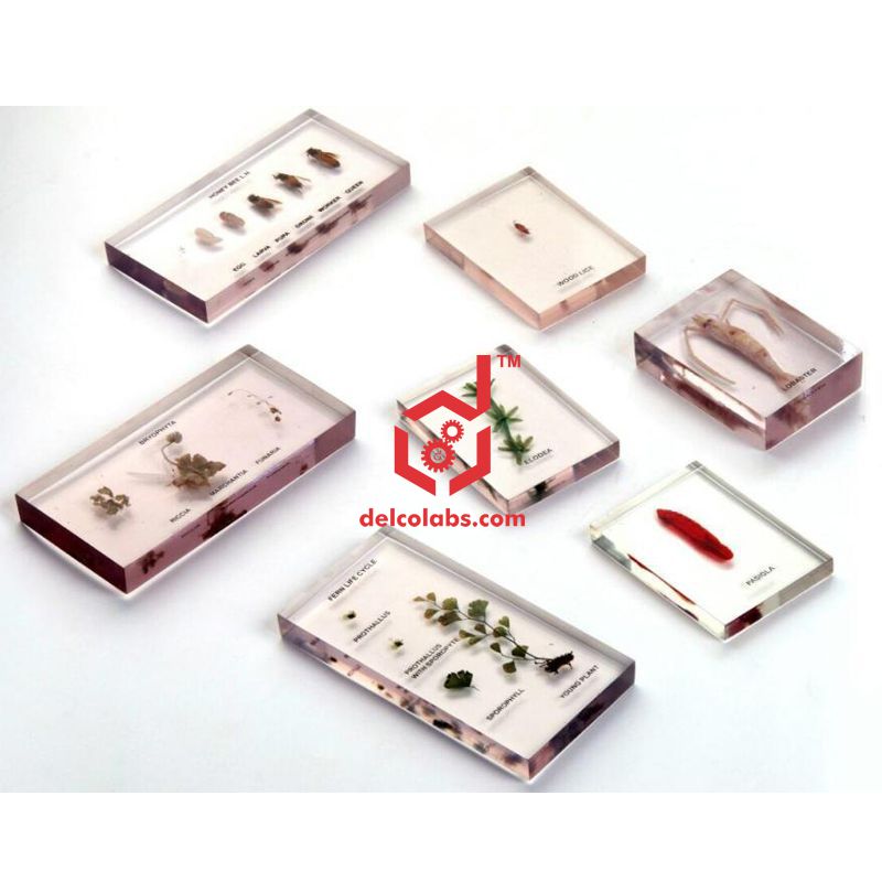 Divyansh_educational