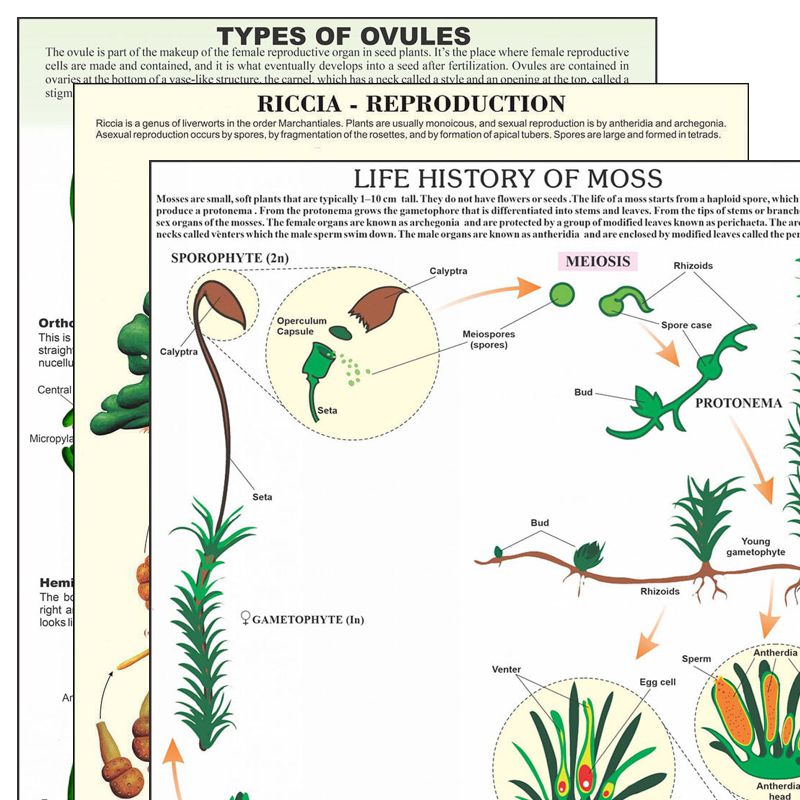 Divyansh_educational