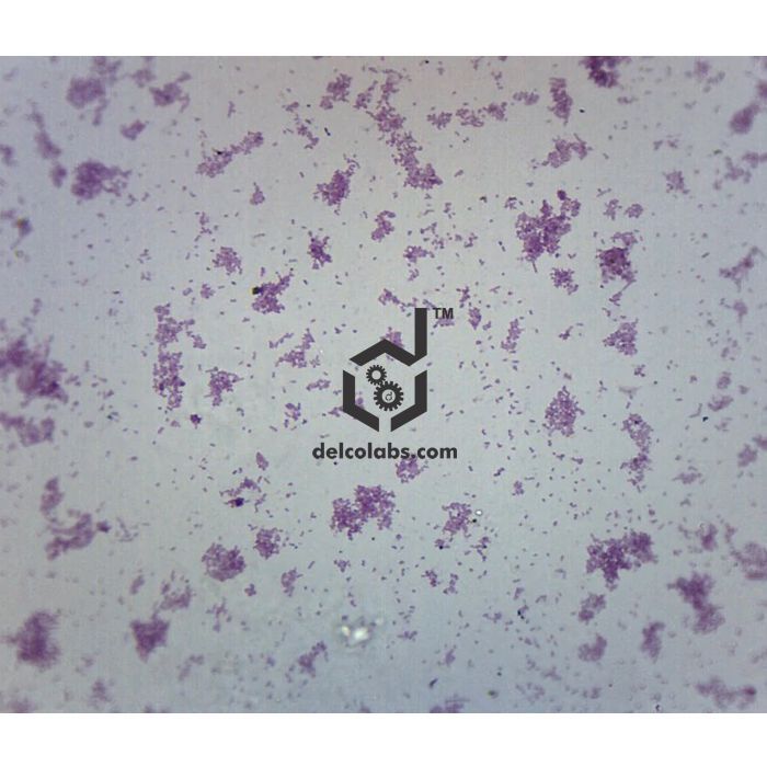 Divyansh_educational