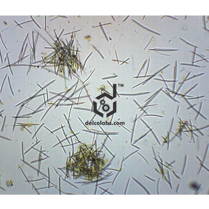 Divyansh_educational