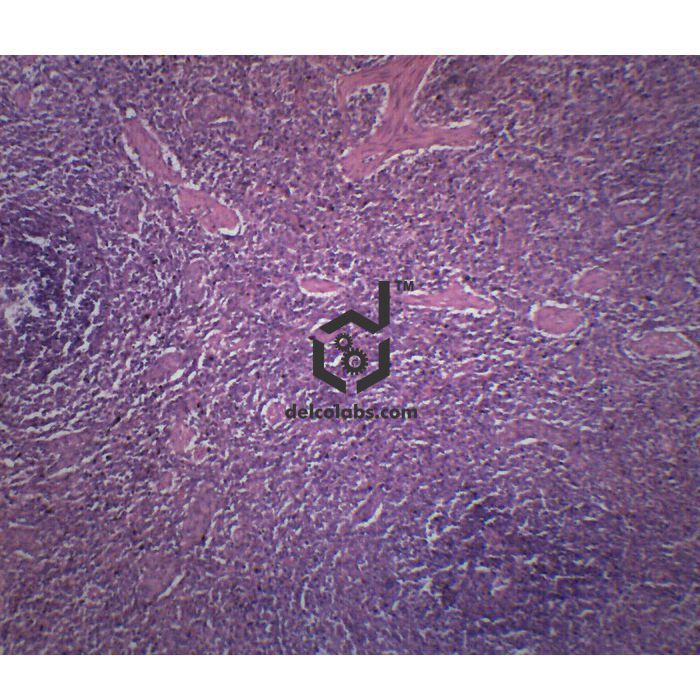 Divyansh_educational