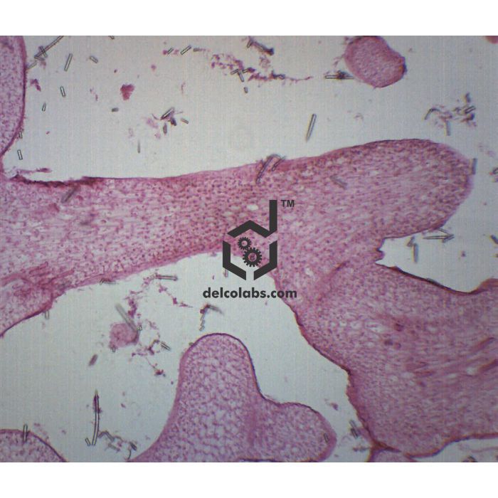 Divyansh_educational