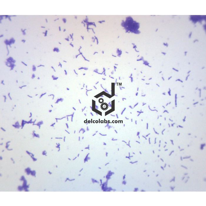 Divyansh_educational