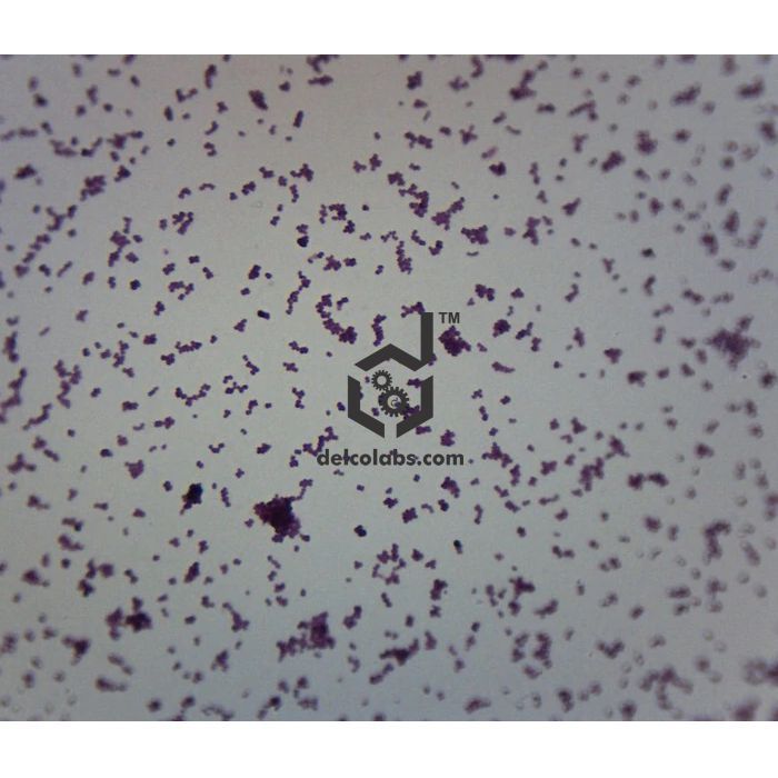 Divyansh_educational