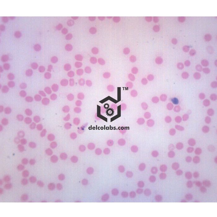 Divyansh_educational