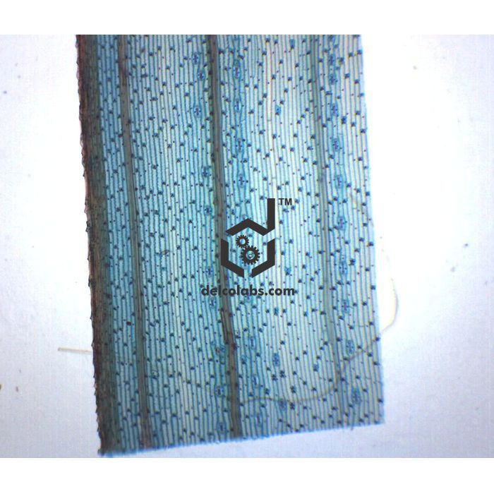 Divyansh_educational