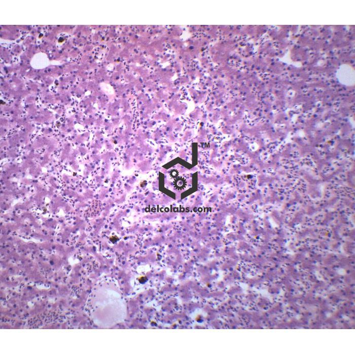 Divyansh_educational