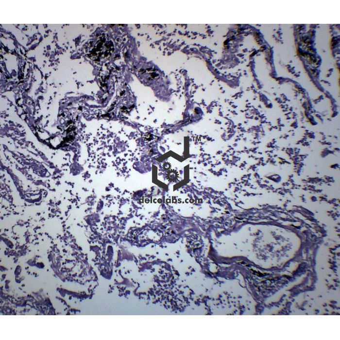 Divyansh_educational