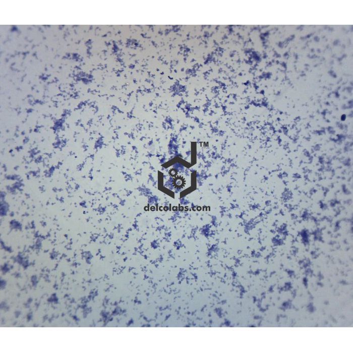 Divyansh_educational