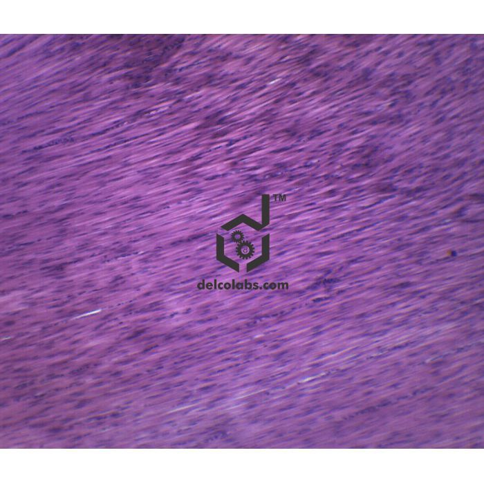 Divyansh_educational