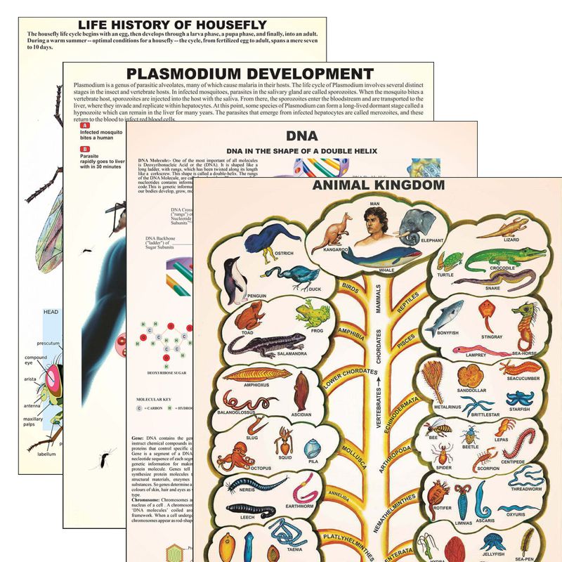 Divyansh_educational